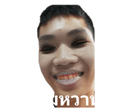491896247