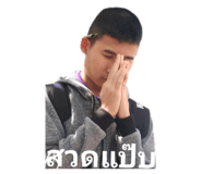 491896250
