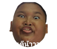 491896255