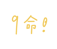 491932794