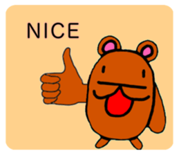 492004699