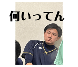 492017799