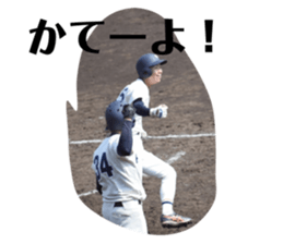 492017817