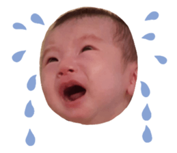 492018273