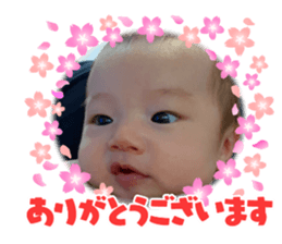 492018282