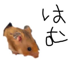 492018658