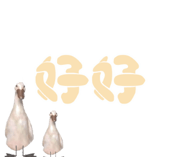 492033521