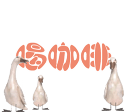 492033549