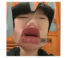 492056695
