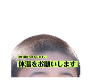 492058205
