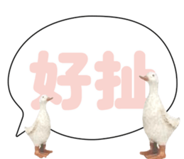 492080077