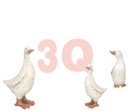 492080079