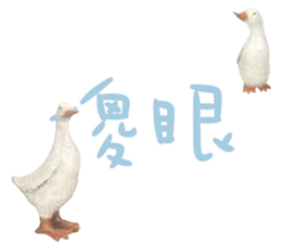 492080260