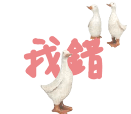 492080400