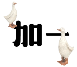 492080578