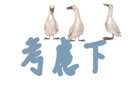 492081525