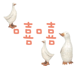 492082122