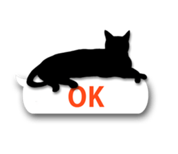 4920951
