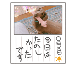 492113387