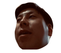 492120077