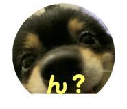 492132344