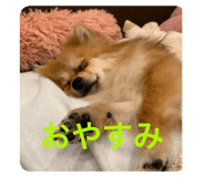 492133135