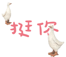 492141710