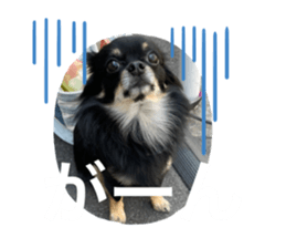 492148102