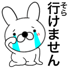 49216186