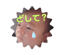 492165337