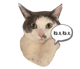 492201802