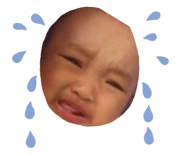 492213564
