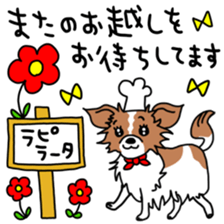 492223964