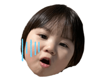 492254754