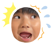 492254755