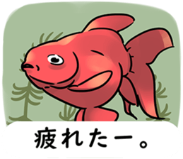492258832