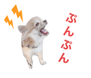 492266568