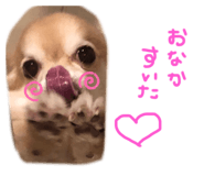 492266569