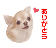 492266573