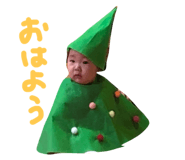 492269006