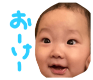 492269009