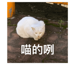 492270269