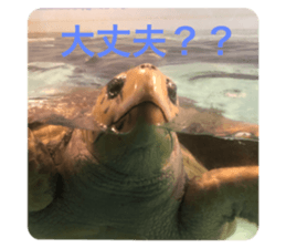 492273789
