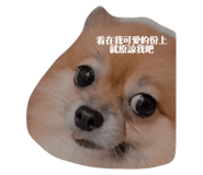 492301039