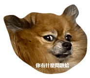 492301041
