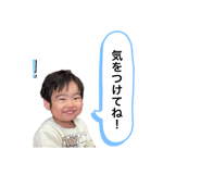 492303858