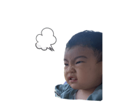 492303868