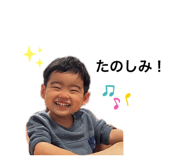 492303869