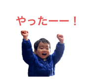 492303874