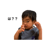 492303875